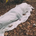 Macabre découverte dans le Val D’oise