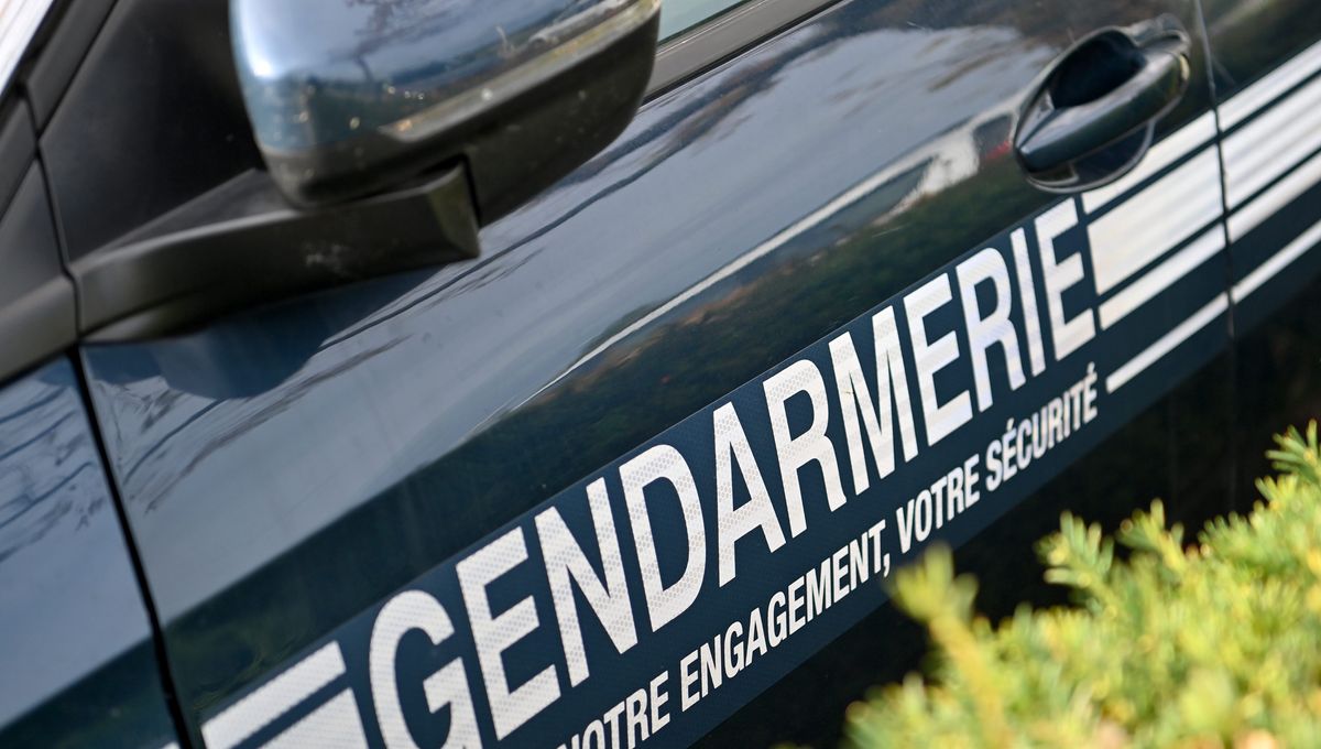 police gendarmerie